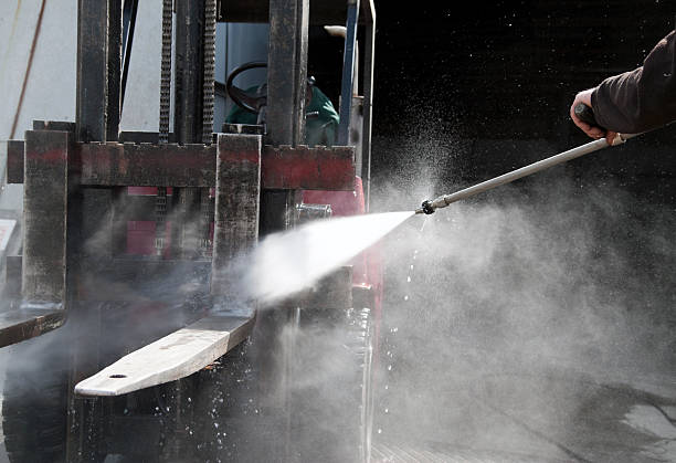 Best Exterior Home Cleaning  in Roanoke, AL