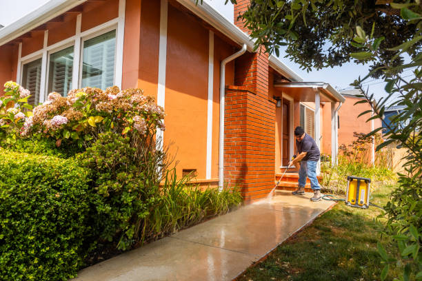 Best Roof Pressure Washing  in Roanoke, AL