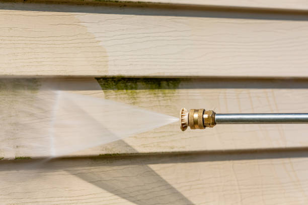 Why Choose Our Certified Pressure Washing Experts for Your Project Needs in Roanoke, AL?